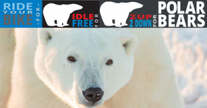Take the Challenge for Polar Bears Poster Toolkit